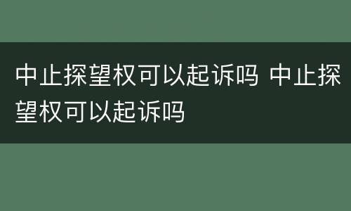 中止探望权可以起诉吗 中止探望权可以起诉吗
