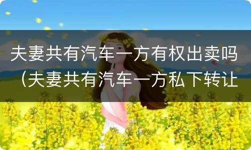夫妻共有汽车一方有权出卖吗（夫妻共有汽车一方私下转让）
