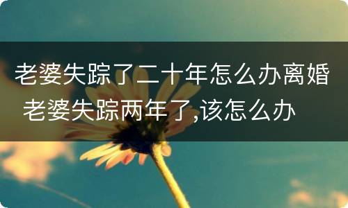 老婆失踪了二十年怎么办离婚 老婆失踪两年了,该怎么办