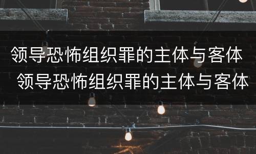 领导恐怖组织罪的主体与客体 领导恐怖组织罪的主体与客体是