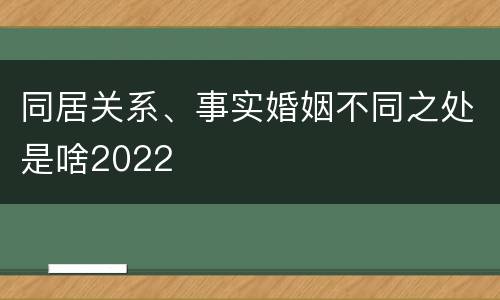 同居关系、事实婚姻不同之处是啥2022