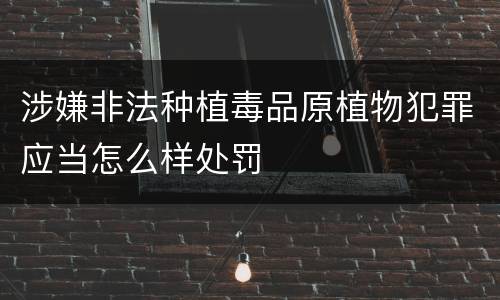 涉嫌非法种植毒品原植物犯罪应当怎么样处罚