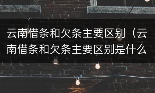 云南借条和欠条主要区别（云南借条和欠条主要区别是什么）