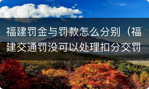 福建罚金与罚款怎么分别（福建交通罚没可以处理扣分交罚款吗）