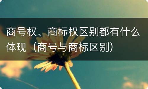 商号权、商标权区别都有什么体现（商号与商标区别）
