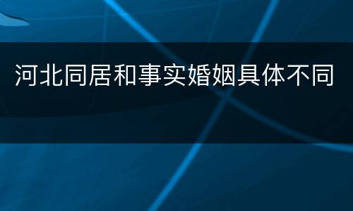 河北同居和事实婚姻具体不同