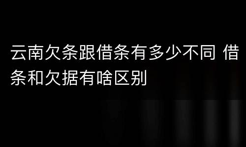云南欠条跟借条有多少不同 借条和欠据有啥区别