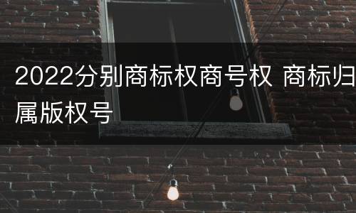 2022分别商标权商号权 商标归属版权号