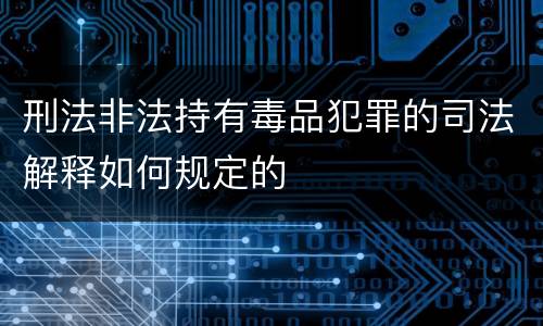 刑法非法持有毒品犯罪的司法解释如何规定的