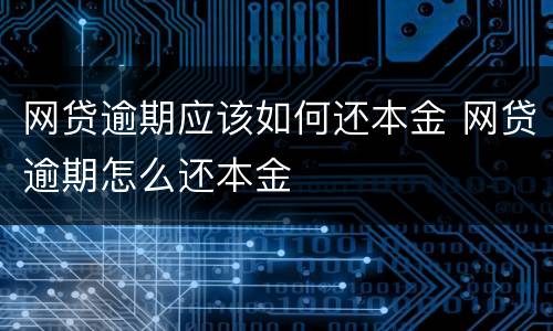 网贷逾期应该如何还本金 网贷逾期怎么还本金