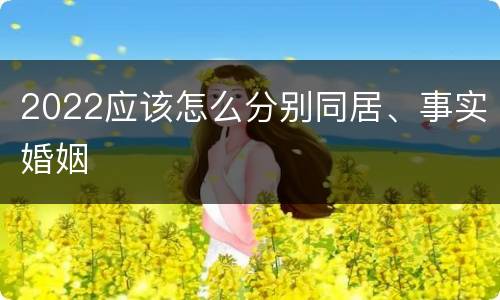 2022应该怎么分别同居、事实婚姻