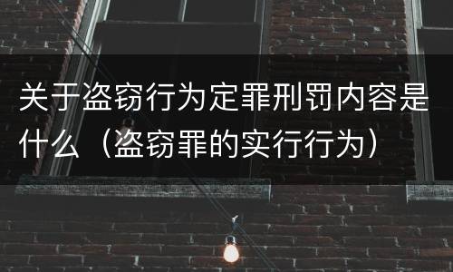 关于盗窃行为定罪刑罚内容是什么（盗窃罪的实行行为）
