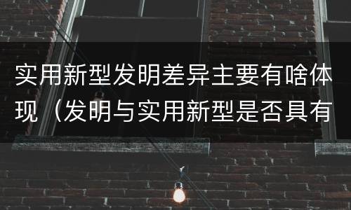 实用新型发明差异主要有啥体现（发明与实用新型是否具有实用性）