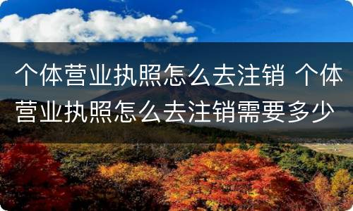 个体营业执照怎么去注销 个体营业执照怎么去注销需要多少钱