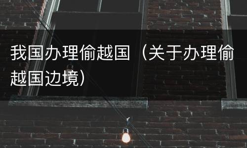 我国办理偷越国（关于办理偷越国边境）