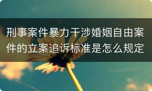 刑事案件暴力干涉婚姻自由案件的立案追诉标准是怎么规定
