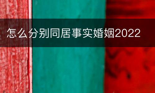 怎么分别同居事实婚姻2022