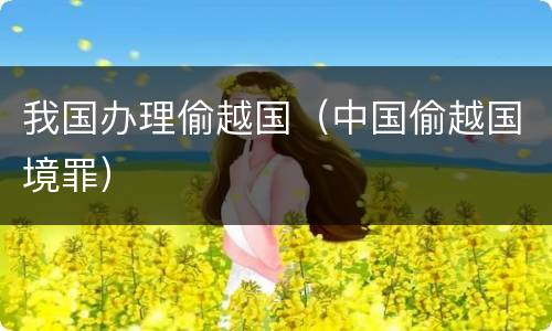 我国办理偷越国（中国偷越国境罪）