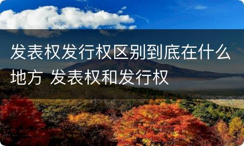 发表权发行权区别到底在什么地方 发表权和发行权
