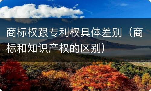 商标权跟专利权具体差别（商标和知识产权的区别）