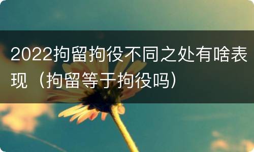 2022拘留拘役不同之处有啥表现（拘留等于拘役吗）