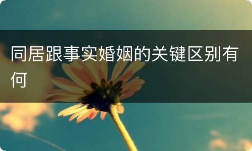 同居跟事实婚姻的关键区别有何