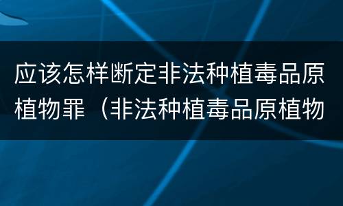 应该怎样断定非法种植毒品原植物罪（非法种植毒品原植物罪情节严重的三种情形）