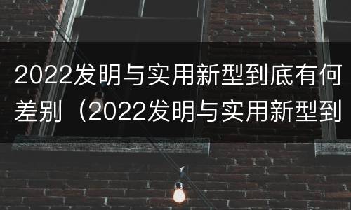 2022发明与实用新型到底有何差别（2022发明与实用新型到底有何差别呢）