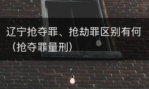 辽宁抢夺罪、抢劫罪区别有何（抢夺罪量刑）