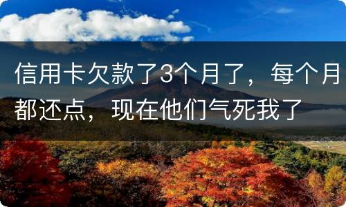 信用卡欠款了3个月了，每个月都还点，现在他们气死我了
