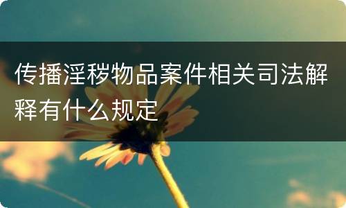 传播淫秽物品案件相关司法解释有什么规定