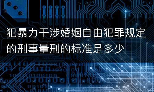 犯暴力干涉婚姻自由犯罪规定的刑事量刑的标准是多少