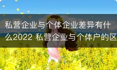 私营企业与个体企业差异有什么2022 私营企业与个体户的区别