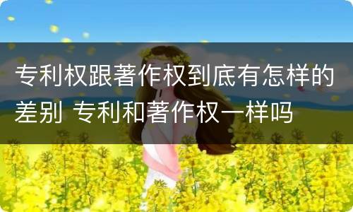 专利权跟著作权到底有怎样的差别 专利和著作权一样吗