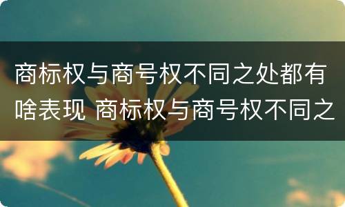 商标权与商号权不同之处都有啥表现 商标权与商号权不同之处都有啥表现呢