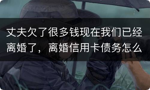 丈夫欠了很多钱现在我们已经离婚了，离婚信用卡债务怎么办