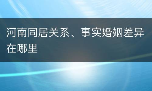 河南同居关系、事实婚姻差异在哪里