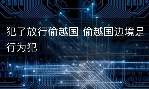 犯了放行偷越国 偷越国边境是行为犯
