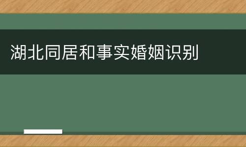 湖北同居和事实婚姻识别