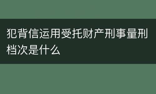 犯背信运用受托财产刑事量刑档次是什么