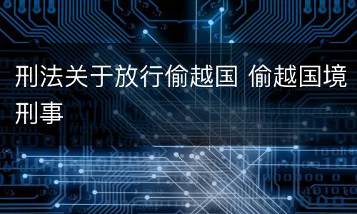 刑法关于放行偷越国 偷越国境刑事