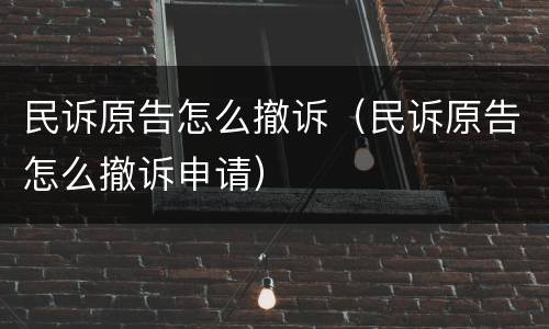 民诉原告怎么撤诉（民诉原告怎么撤诉申请）