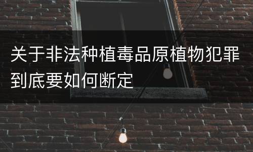 关于非法种植毒品原植物犯罪到底要如何断定