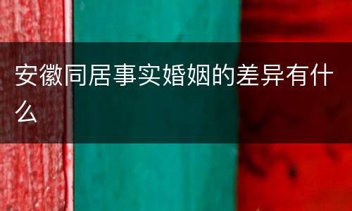 安徽同居事实婚姻的差异有什么