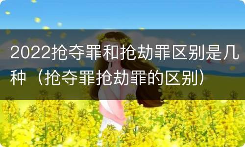 2022抢夺罪和抢劫罪区别是几种（抢夺罪抢劫罪的区别）