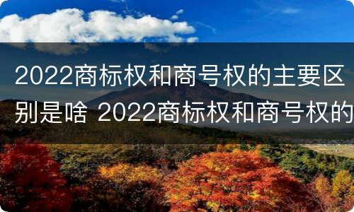 2022商标权和商号权的主要区别是啥 2022商标权和商号权的主要区别是啥呀