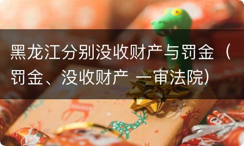 黑龙江分别没收财产与罚金（罚金、没收财产 一审法院）