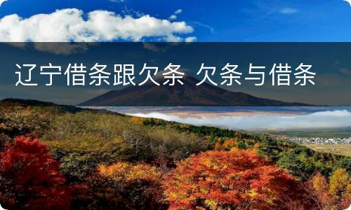 辽宁借条跟欠条 欠条与借条