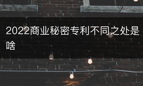 2022商业秘密专利不同之处是啥