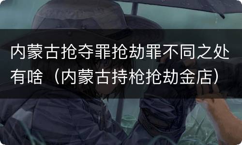 内蒙古抢夺罪抢劫罪不同之处有啥（内蒙古持枪抢劫金店）